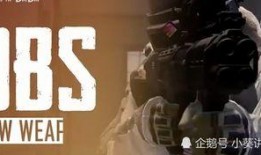 和平精英新枪爆料最新视频,神秘武器震撼来袭，视频揭秘性能与外观